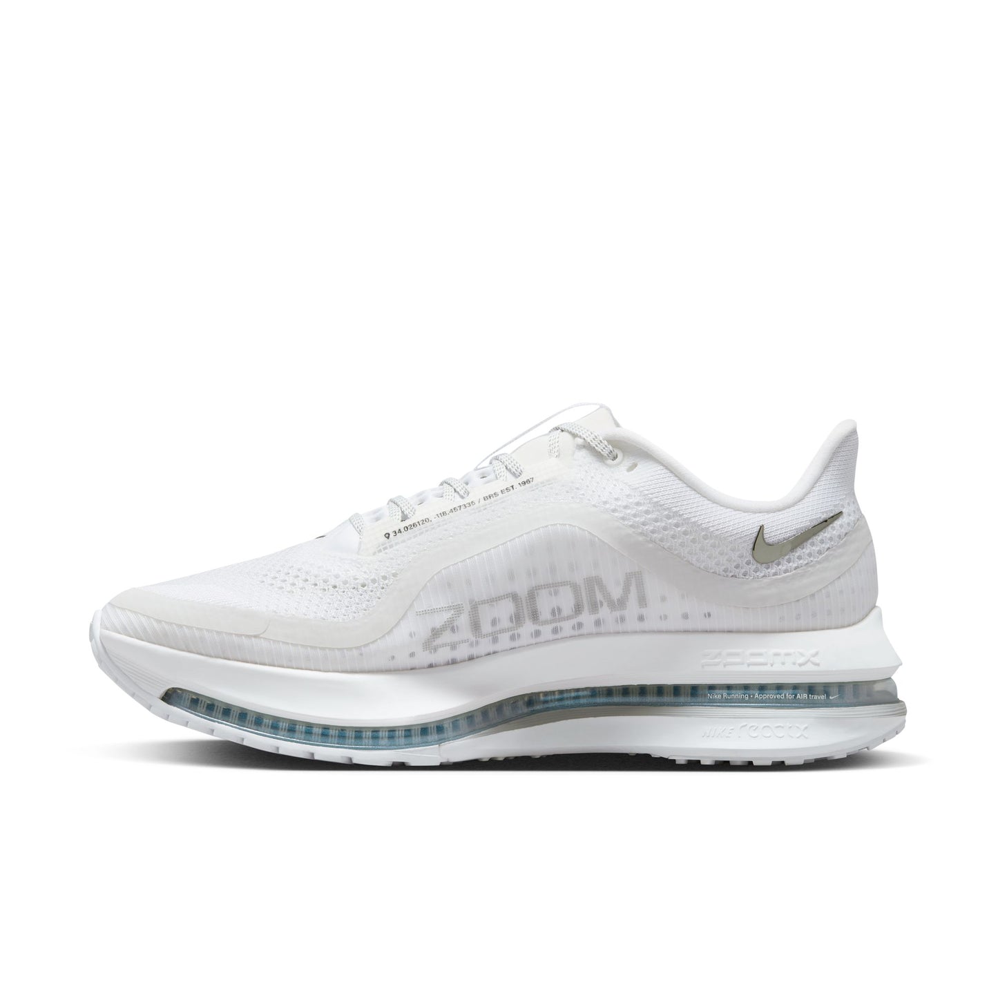 Nike Pegasus Premium Women's WHITE/METALLIC SILVER-METALLIC SILVER HQ2592-102