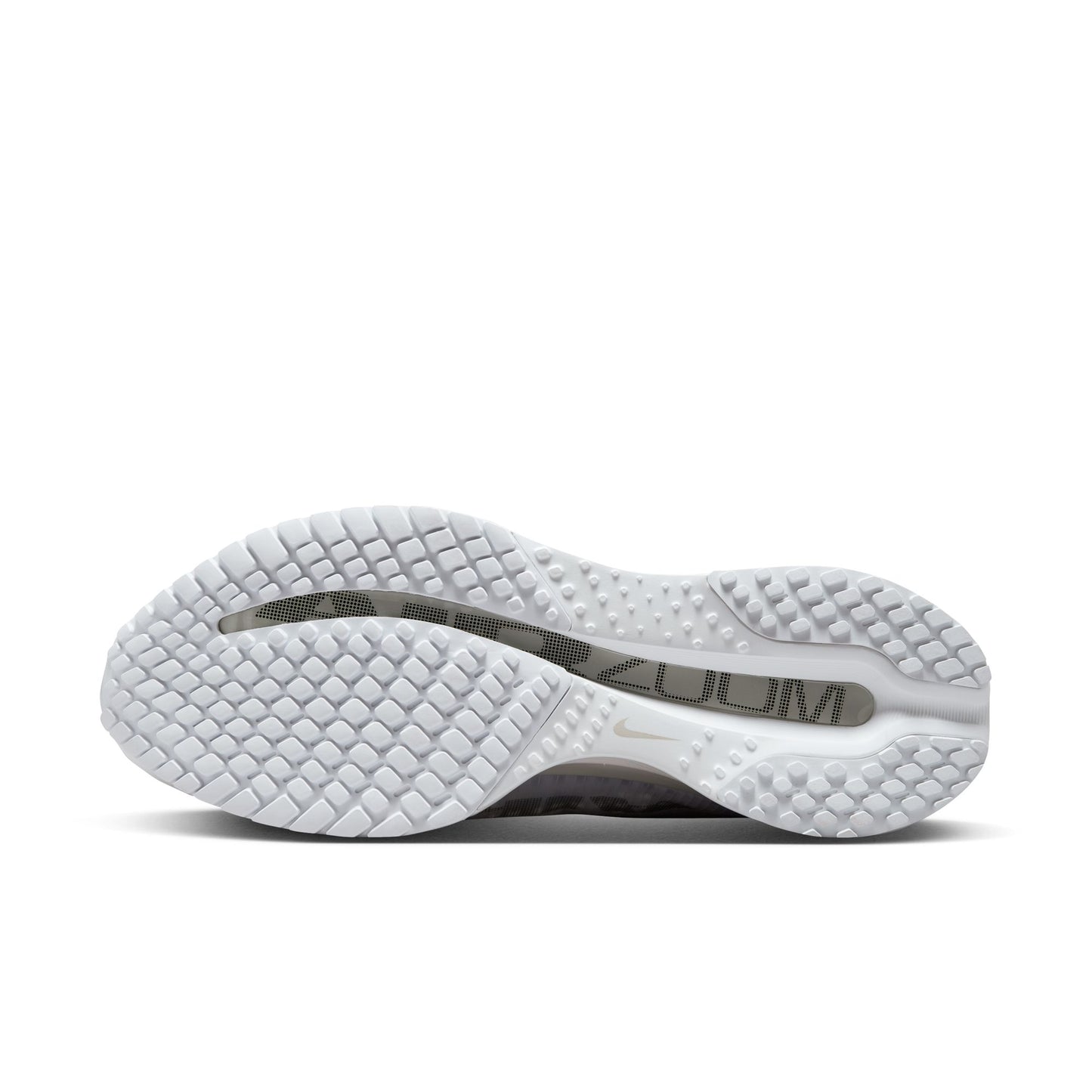Nike Pegasus Premium Women's WHITE/METALLIC SILVER-METALLIC SILVER HQ2592-102