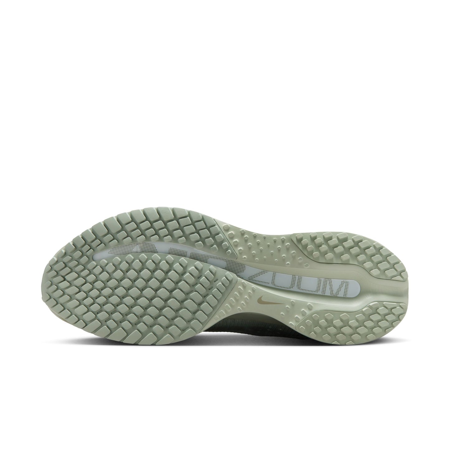 Nike Pegasus Premium Men's Road Running Shoes Color: Jade Horizon/light Army-jade Horizon Style: HQ2592-300