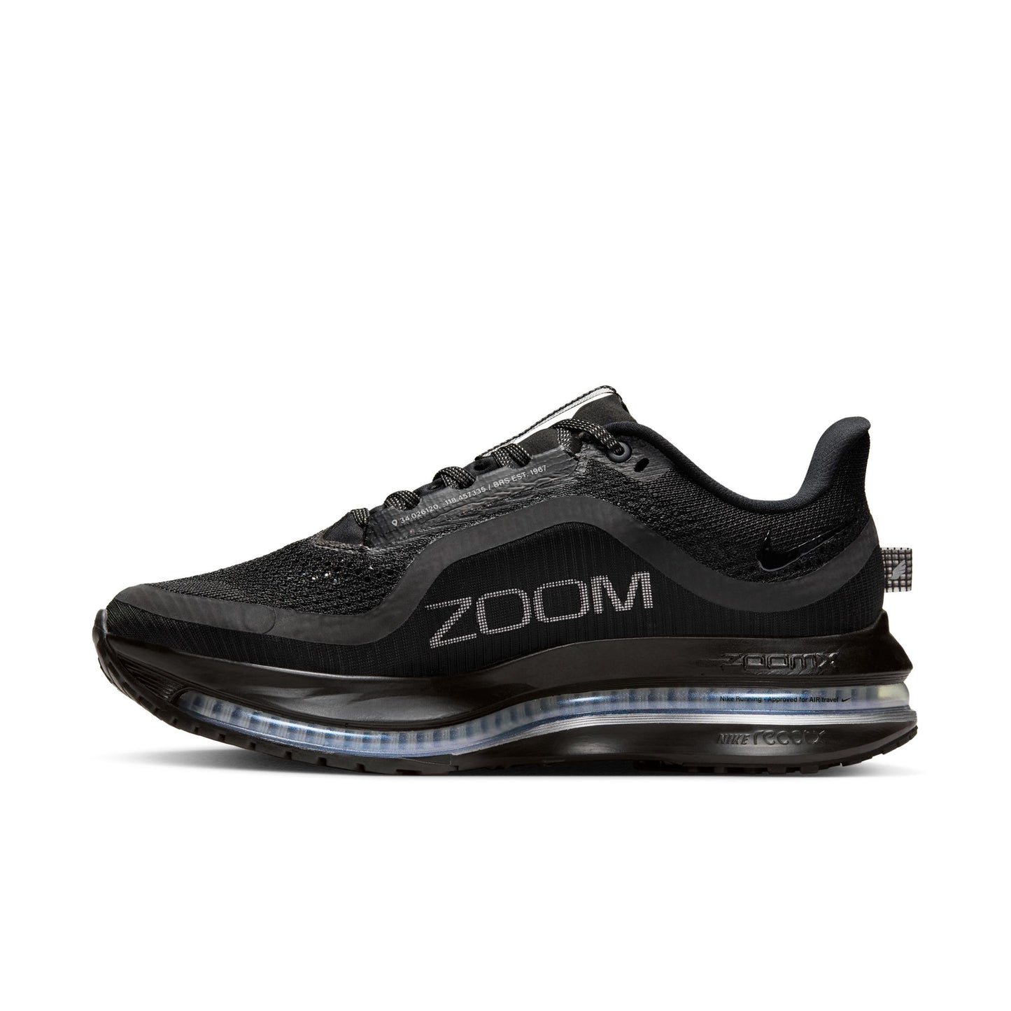 Nike Pegasus Premium Women's Black/black-metallic Silver HQ2593-004