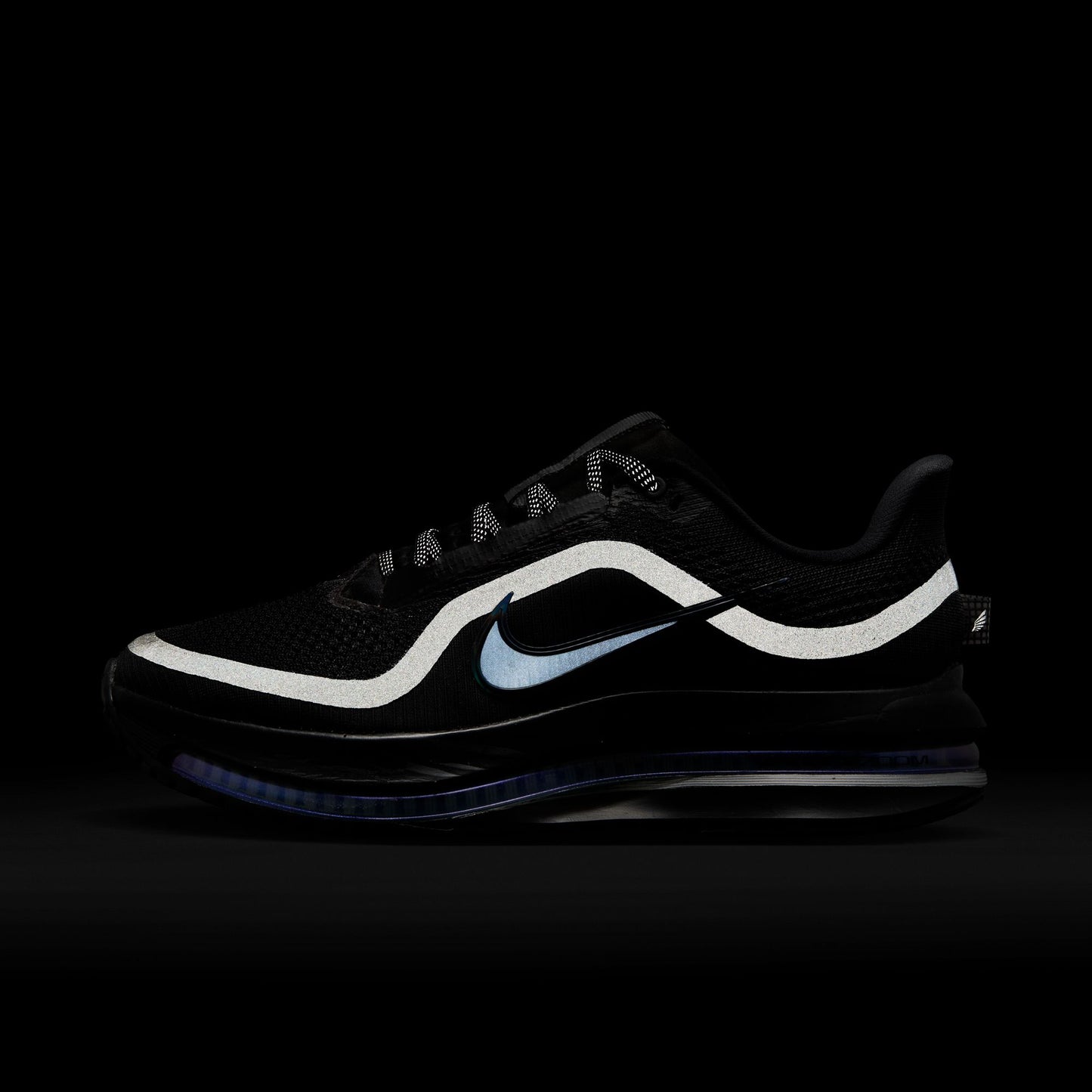 Nike Pegasus Premium Women's Black/black-metallic Silver HQ2593-004
