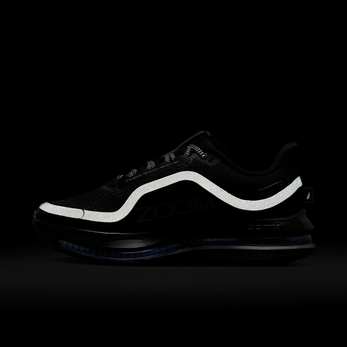 Nike Pegasus Premium Women's Black/black-metallic Silver HQ2593-004