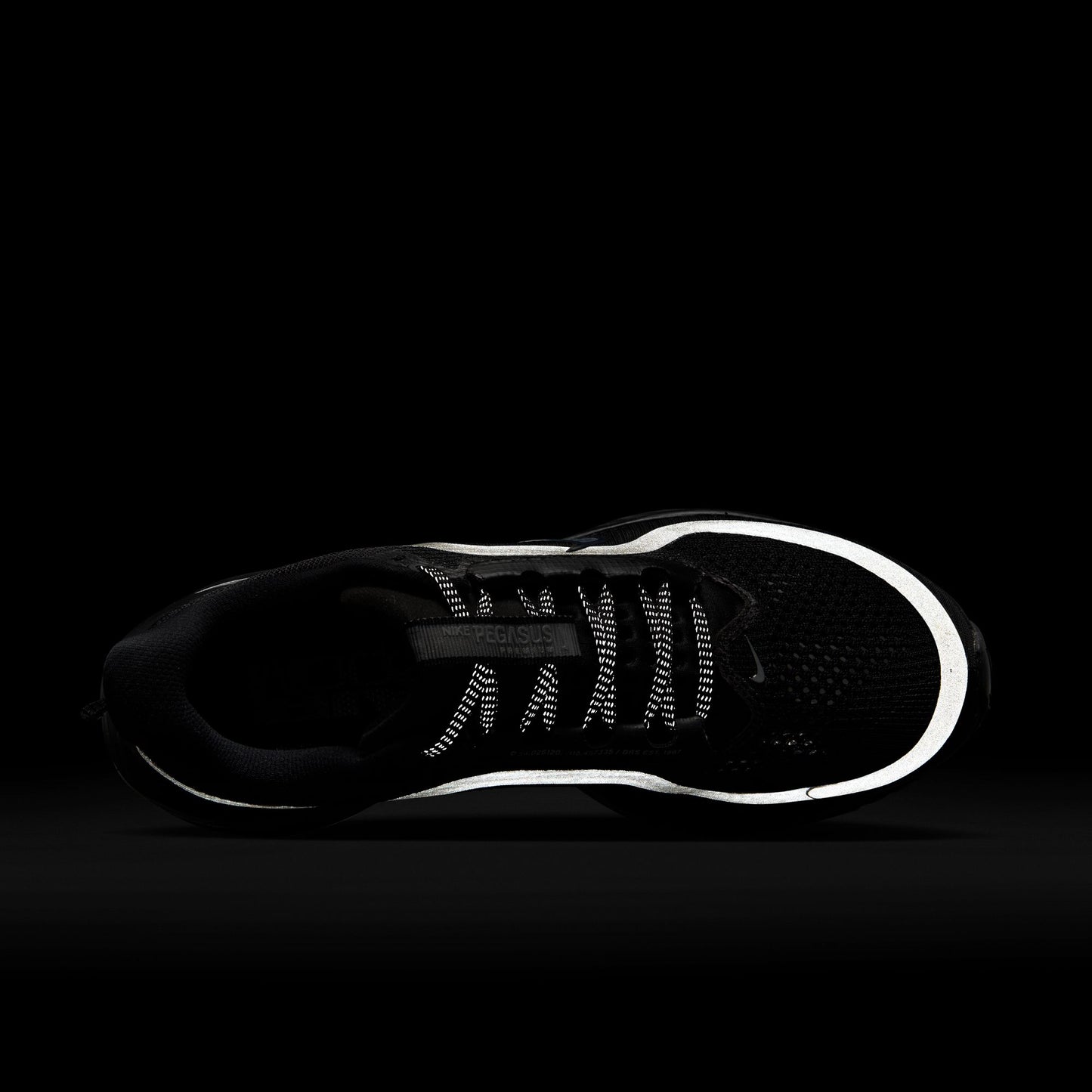 Nike Pegasus Premium Women's Black/black-metallic Silver HQ2593-004