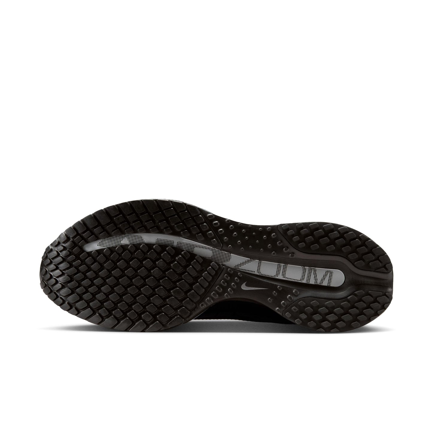 Nike Pegasus Premium Women's Black/black-metallic Silver HQ2593-004