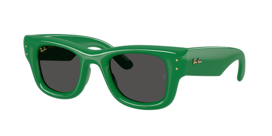 RAY-BAN WAYFARER PUFFER GREEN W ULTRA BLACK 0RB4940-68348747