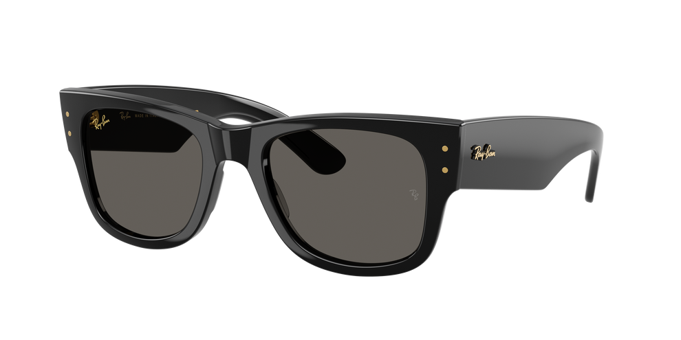 Ray-Ban WAYFARER ケース付き Ray-Ban RW4006 Ray-Ban | Meta Wayfarer M (50 - 22) with Grey