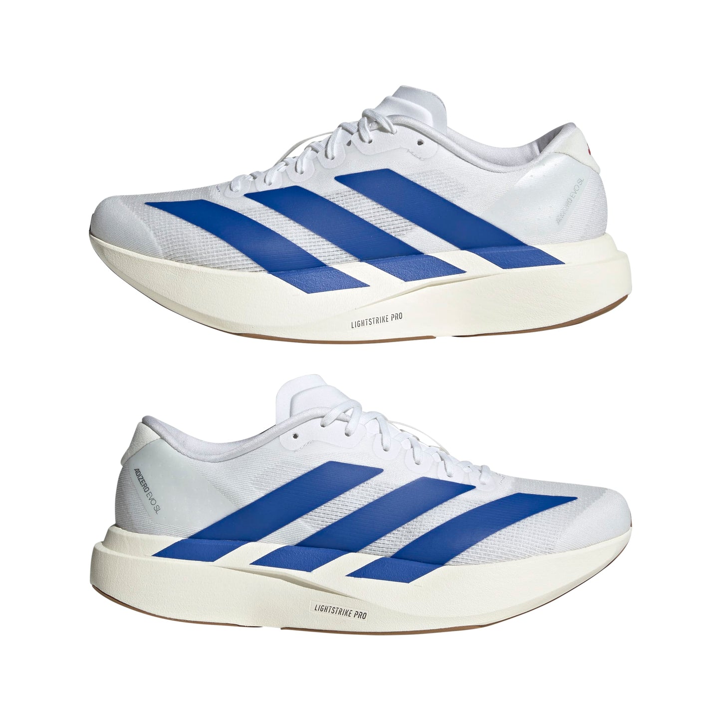 ADIDAS adizero Evo SL M FTWW/ROYBLU/PURRUB JS4494