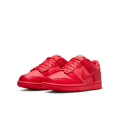 Nike Boy Grade School Dunk Low Track Red/Track Red-Red Stardust DH9765-601