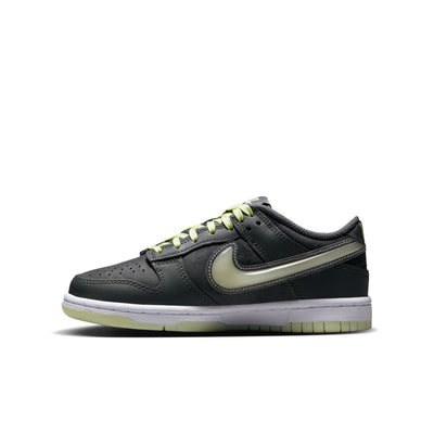 Nike Dunk Low RON GREY/COOL GREY-LIME ICE-WHITE HQ3569-068