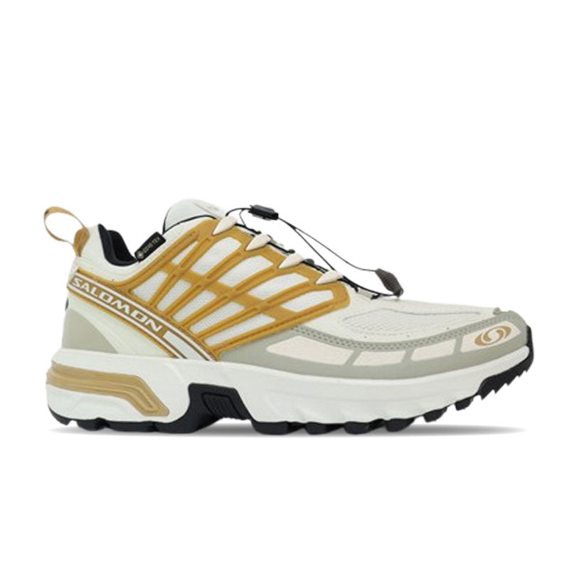 Salomon ACS PRO GORE-TEX Icicle / Antelope / Tea L47599800