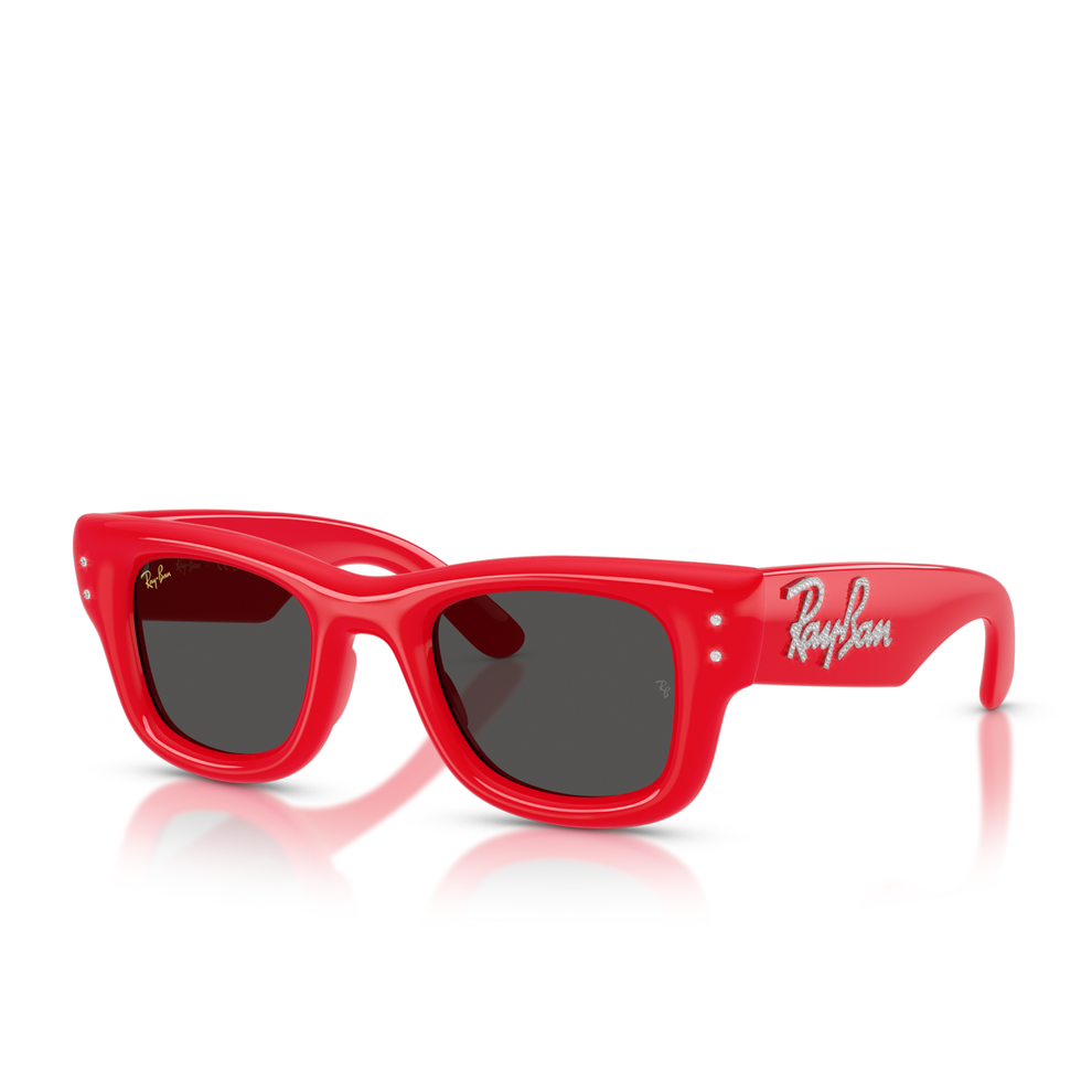 RAY-BAN X ASAP ROCKY 