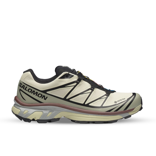 SALOMON XT-6 GORE-TEX Aspargus Green / Tea L49202200